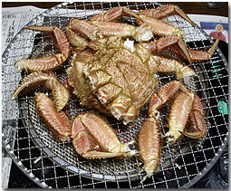 毛蟹　けがに　北海道　焼き蟹